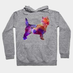 Cairn Terrier in watercolor Hoodie